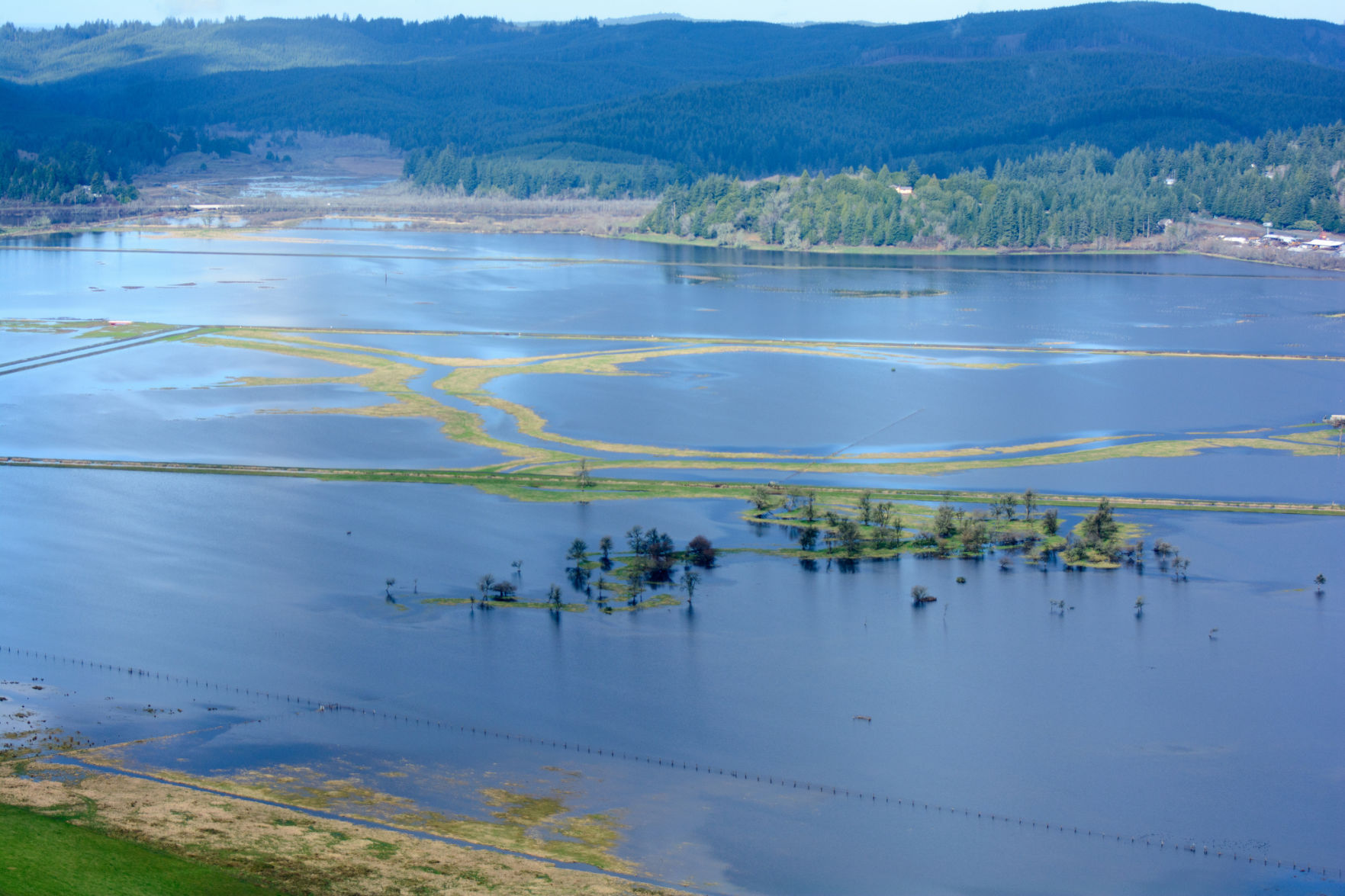 King_tide_floods_Coquille_River_valley_Alex_Derr.jpg